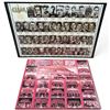 Image 1 : Montreal Canadiens Framed Team Photo & 1995/96 Uncut Ticket Sheet