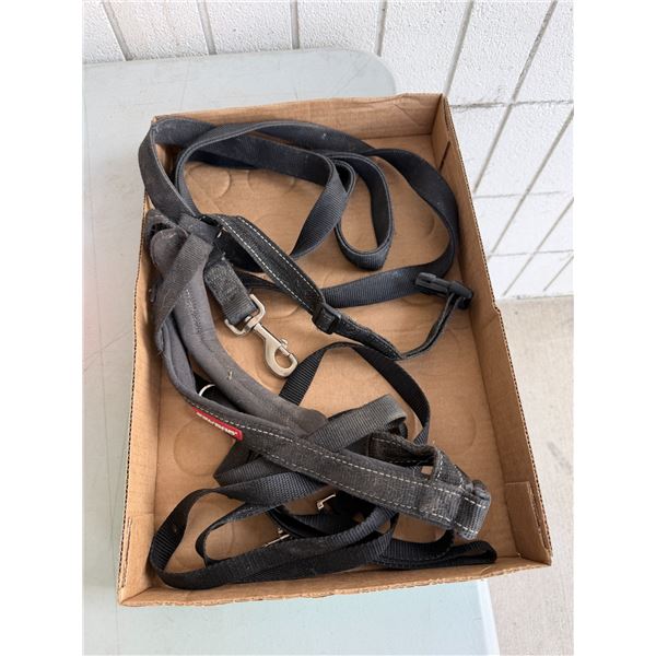 Leash