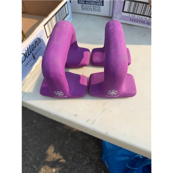 Gaiam weights
