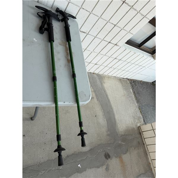 Walking sticks