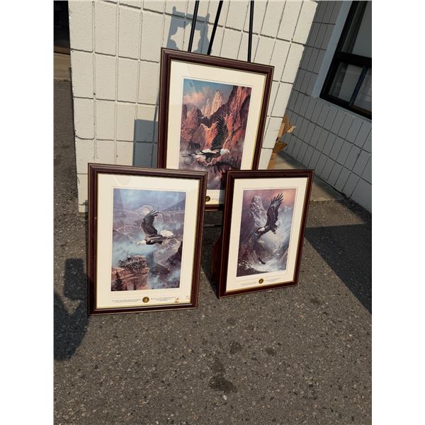Save the eagle proud and free by Ted BLAYLOCK artwork (3)