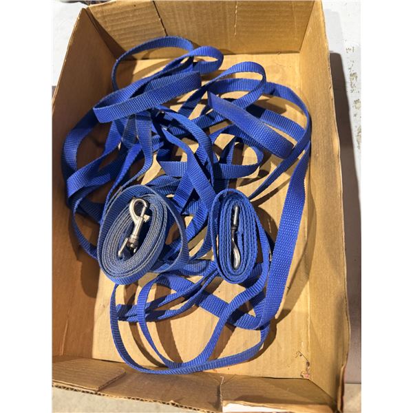 Leashes
