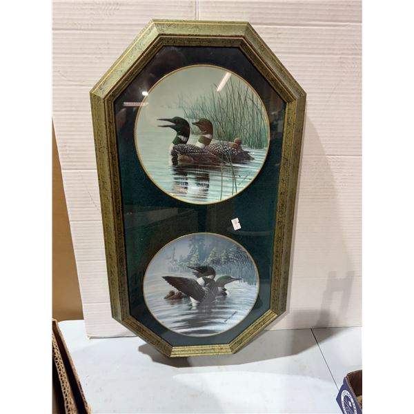Duck Collector plates