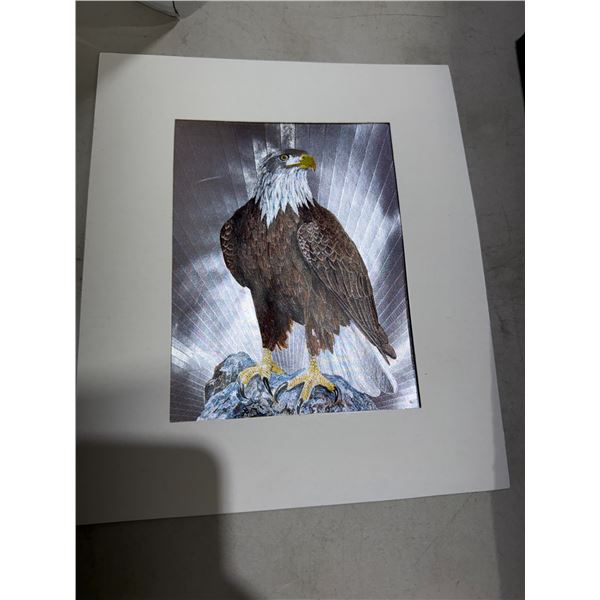 Eagle artwork