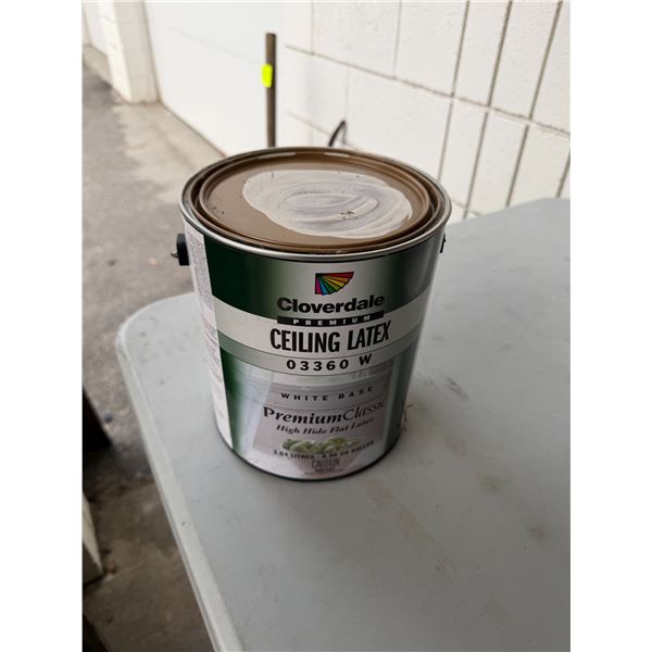 Latex paint