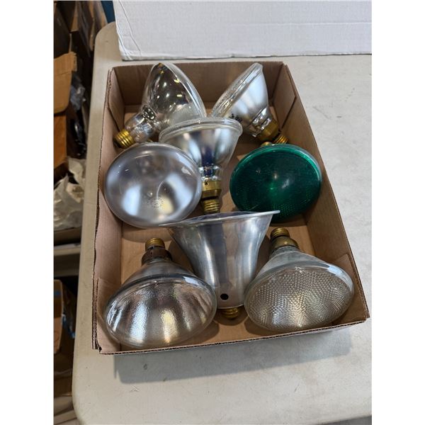 Bulbs