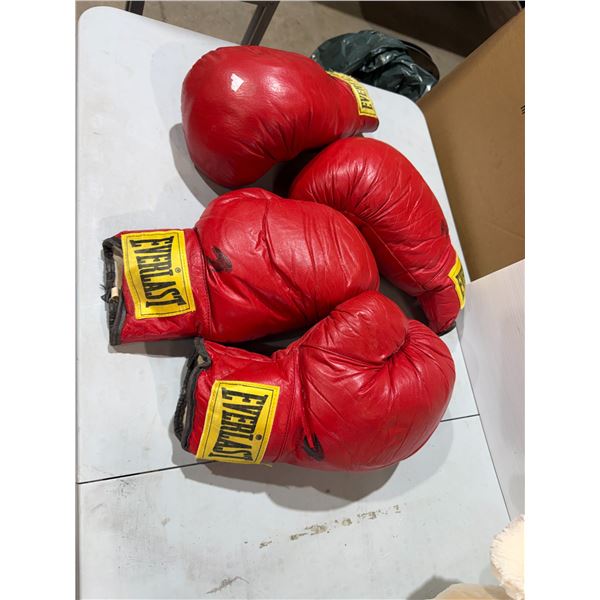 Everlast boxing gloves