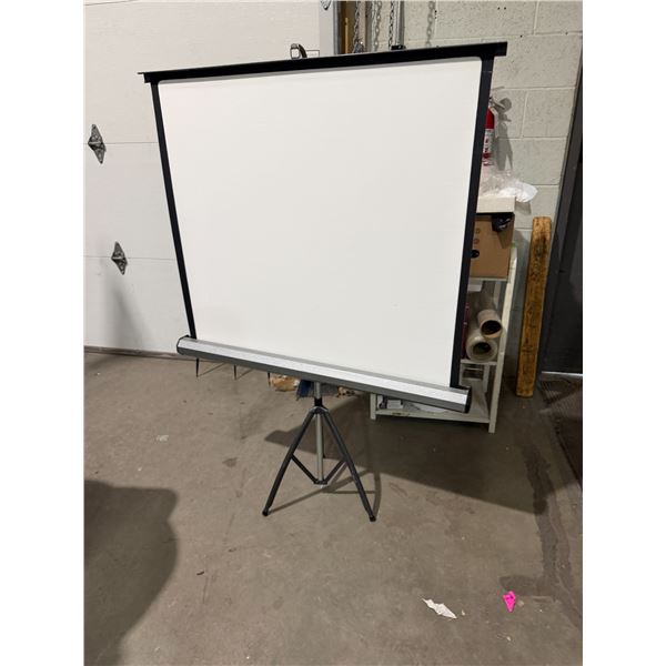 Movie or projector screen