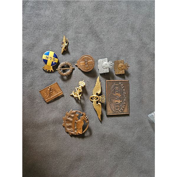 Assorted pins