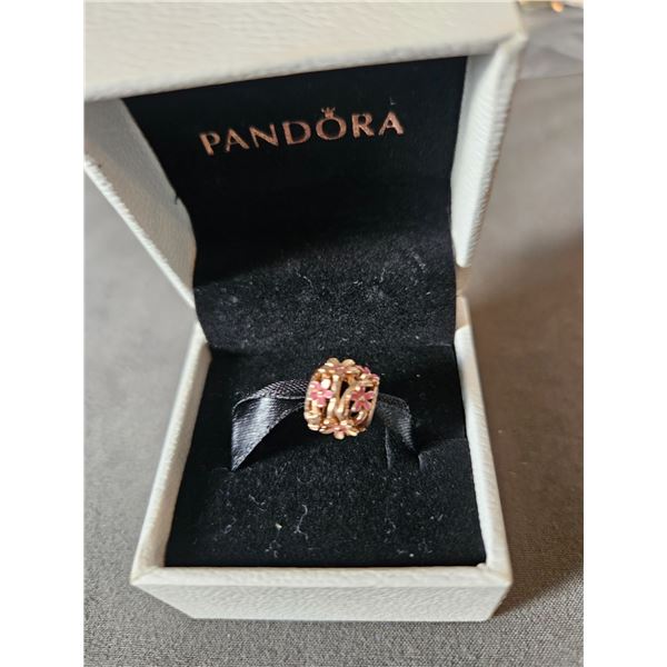 Pandora charm
