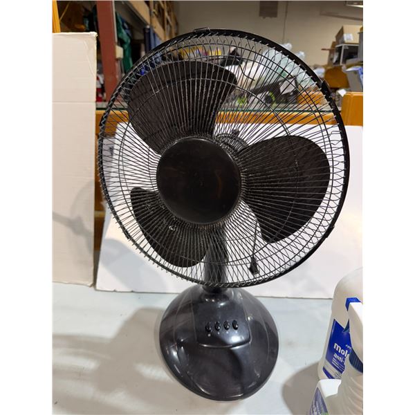 Fan