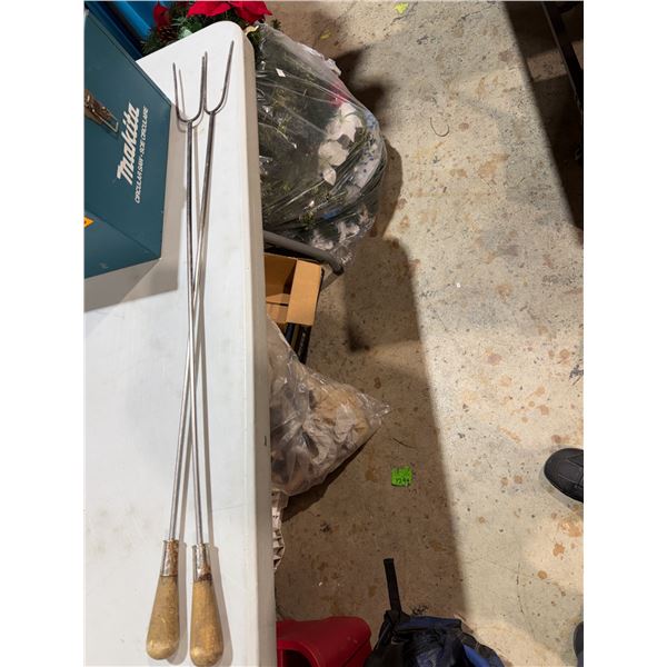 Campfire sticks