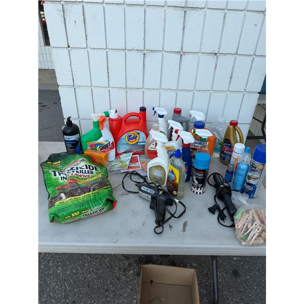 Sort of cleaners, chemicals, glue, gun, hair, straightener, clothes, pegs, etc.