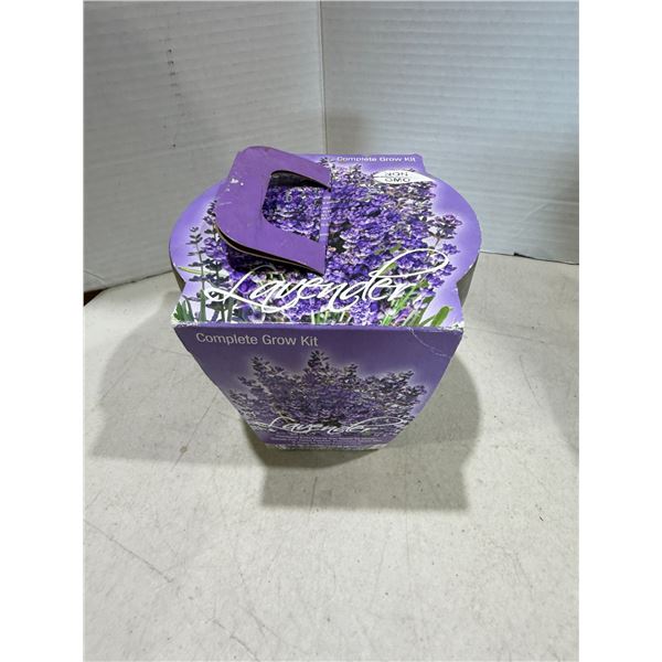 Lavender grow kit