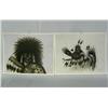 Image 5 : Collection Comanche Hand Signed Prints By Saupitty