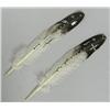 Image 1 : 2 Hand Painted Feathers