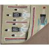 Image 2 : Navajo Home Spun Yei Rug
