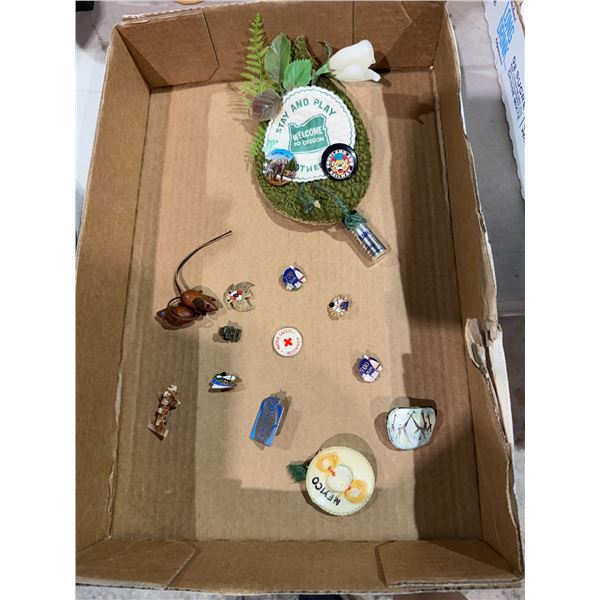 Collectible pins