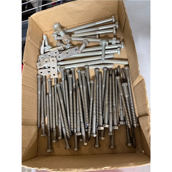 assortment of heavy-duty steel fasteners, including long lag screws, threaded bolts, and flat metal 