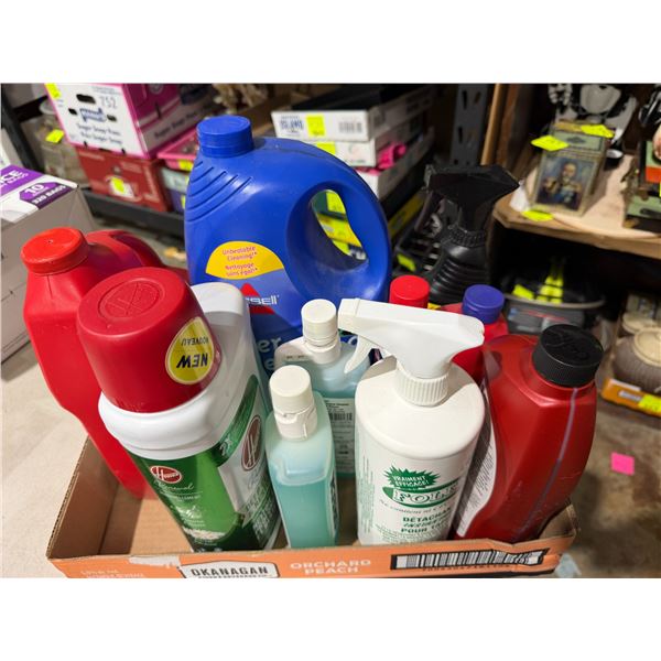 Assorted cleaning and household chemicals