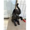 Image 1 : Elephant repaired trunk
