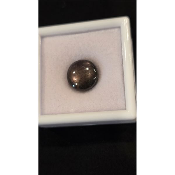 15.8ct Star Ruby - Retail $1580