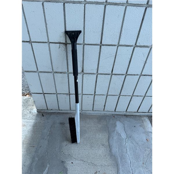 Snowbrush