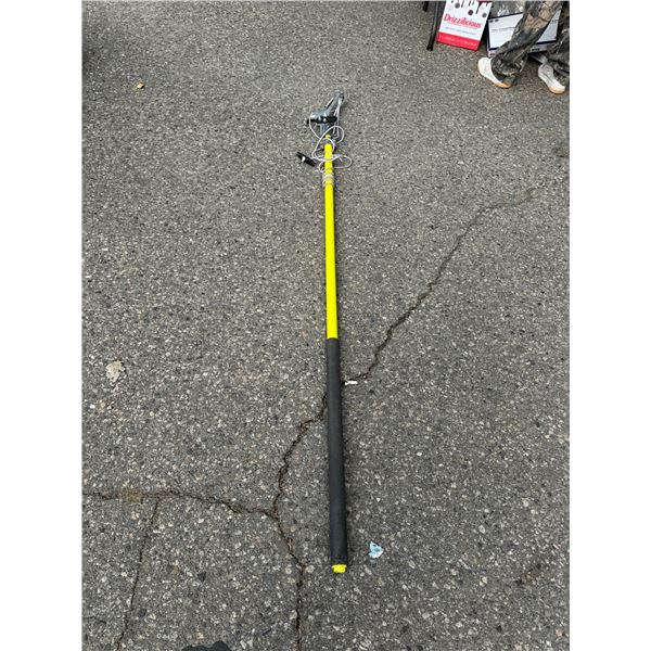 Pruning pole