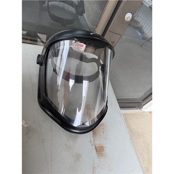 Face shield