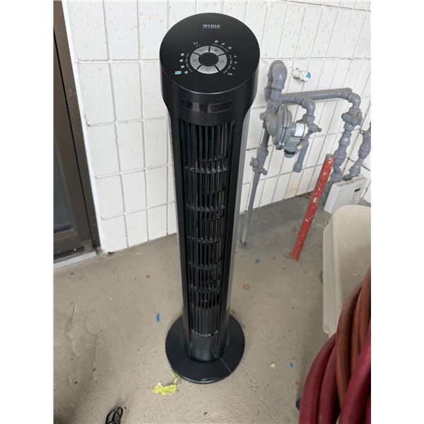 Fan