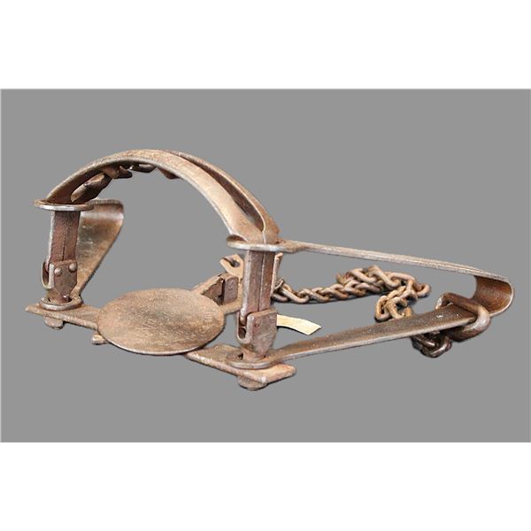 Newhouse #14 Double Long Springs Trap With Teeth- Offset Jaws- Rigged Up For Drowning- Original