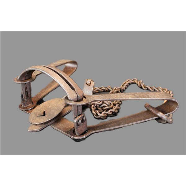 Oneida Victor #3 Double Long Springs Trap with Offset Jaws- Heavy Chain With Swivel