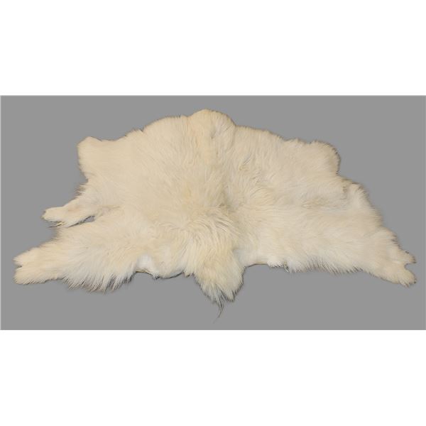 Tanned Goat Hide- 56" X 36"