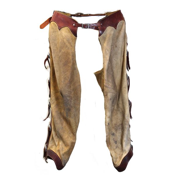 Custom Made Elk Hide Shotgun Chaps- Ten 1.75" Steerhead Conchos- 35.5"- Pretty Good Condition