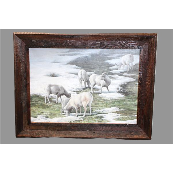 Signed S Voros Original Oil Painting- Bighorn Sheep Print- 43" X 32"