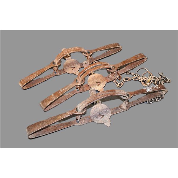3 Oneida Victor #3 Double Long Spring Traps- Chains