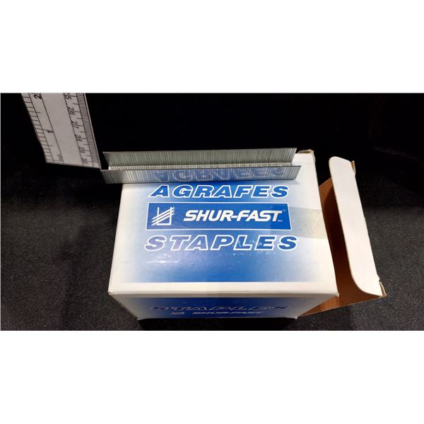 BOÎTES DE 5 000 AGRAFES GALVANISÉES SHUR-FAST S50-020BP, 1/2 PO