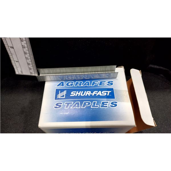 BOÎTES DE 5 000 AGRAFES GALVANISÉES SHUR-FAST S50-020BP, 1/2 PO