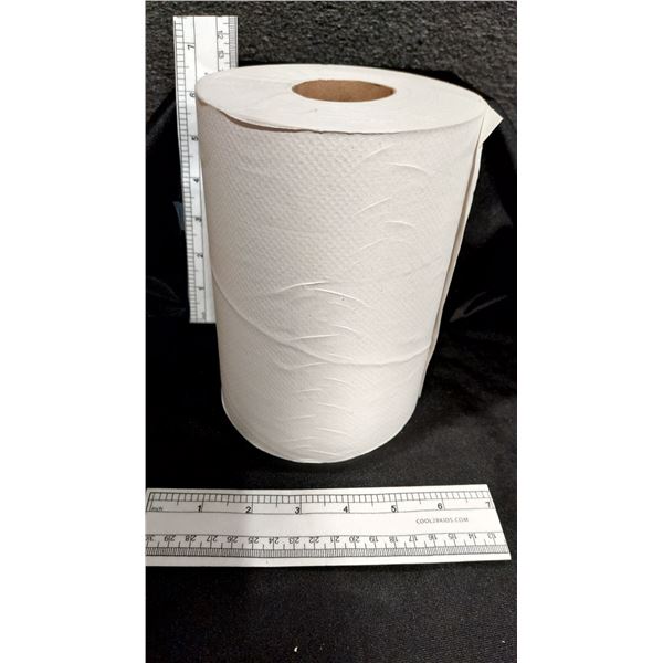 BTE DE 12 ROULEAUX ESSUIE-MAIN BLANC WYM