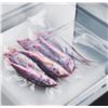 Image 2 : BNIB - Irinox Zero 15 Professional Vacuum Sealer, Black Glass, RV: $7,599 - Model ZERO H15 HZ1511660