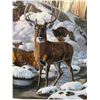 Image 5 : "RIVER BOTTOM BUCK" BY JIM HANSEL SIGNED AND NUMBERED FRAMED PRINT