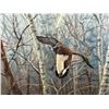 Image 6 : "WIDGEON COUNTRY" BY RHYNARD KLINGBEIL SIGNED AND NUMBERED FRAMED PRINT