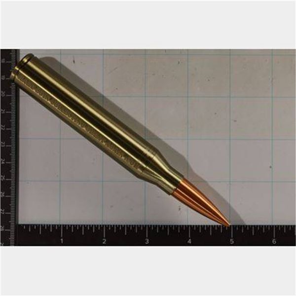 .50 CAL PLASTIC BULLET DIME SIZE COIN HOLDER