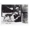 Image 1 : The Yearling Claude Jarman Jr Signed Photo