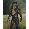Image 1 : The Book of Boba Fett Carey Jones Signed Photo