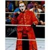 Image 1 : WWF WWE WCW Wrestler Sting Steve Borden Signed Photo