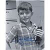 Image 1 : Leave It To Beaver Jerry Mathers Signed Photo