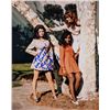 Image 1 : Beyond The Valley Of The Dolls Cynthia Myers signed photo