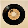 Image 1 : Pastel Six Cinnamon Cinder 45 Album