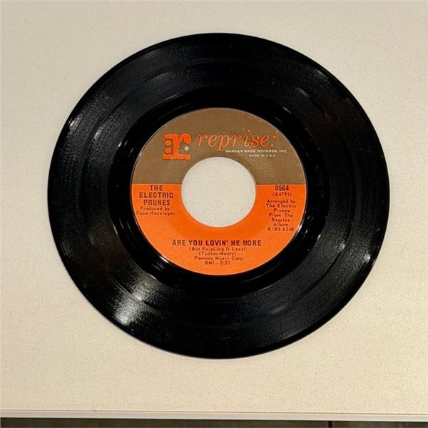 The Electric Prunes Are You Lovin Me More 45 Album